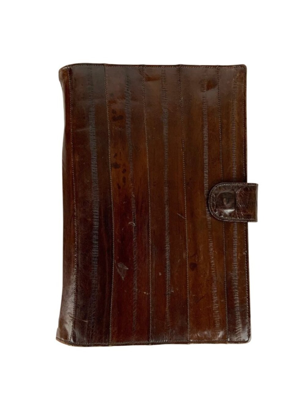 Eel Skin Portfolio With Snap Closure 8.5x6 Brown Genuine Eelskin Vintage 80s